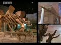 The Making Of Walking With Dinosaurs: Discovering Skeletons