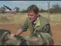 American Broadhead Company