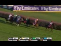 2010 Breeders' Cup Turf 