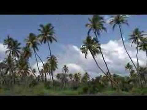 Ernakulam cochin backwater