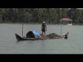 Ernakulam et cochin les backwaters en Inde