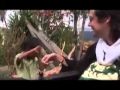 View Video