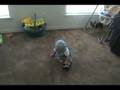 Sevastian Crawling