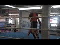 GSP + Jerome Le Banner training Zahabi@TriStar peacemagazin