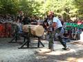 videos de NCSU chainsaw crosscut