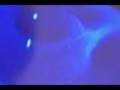 AVJ S.U.N#25 - Underwater Space Dive Mix