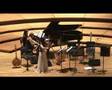 Ayako-Ishikawa-Violi