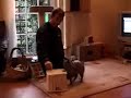 Klickertraining mit jungem Kater Klickertraining mit jungem Kater
