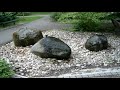 Weiden in der Oberpfalz