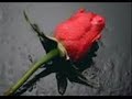 sinan-ozen-anneme-benzeyenim.html