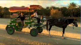 GlobeTrotter Jon Haggins TV in Tamerza and Tozeur Part 2