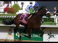 Barbaro Tribute