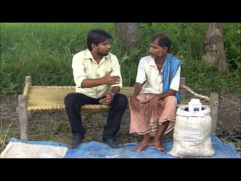 how to fertilize algae