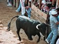 origen san fermines