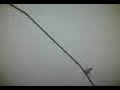 linerider-i houldnt have skiied down that black slope