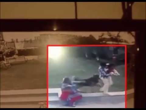 Boy fights off German shepherd dog to save baby sister in Ahmadabad