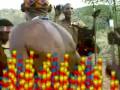 Celebrate Life - The San Bushmen of the Kalahari
