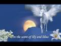 Visul Alb - My White Dream - KARMA Visul Alb - My White Dream - KARMA