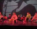 gala danse Camille 2008