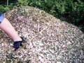 Me Jumping Into Some Wood Chips :L