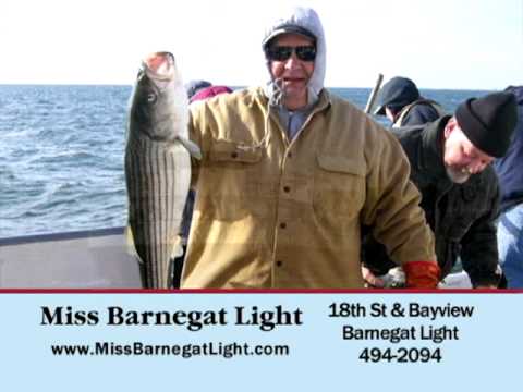 Miss Barnegat Light