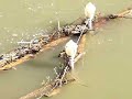 Forsyth, Mo. Powersite Dam flood Forsyth, Mo. Powersite Dam flood