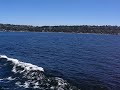 On The Vashon Ferry