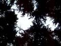 Natures fury