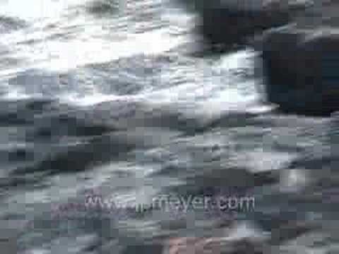 Galapagos Islands travel: Baby sea lion waiting for mama,...