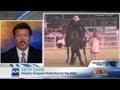 Undercover video shows horse abuse
