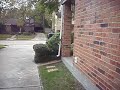 double kickflip the garcia gap !