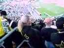 BvB einfach herrlich :)