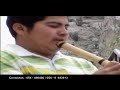 creeme latidos