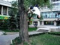 Street Zone - in the Zone