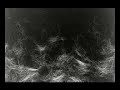 Nico Muhly - It Goes Without Saying