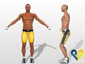 3D Instructions exercise \"Lateral Raise\" for shoulder 3D Instructions exercise \"Lateral Raise\" for shoulder
