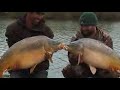 Quest Baits - Old Oaks Session
