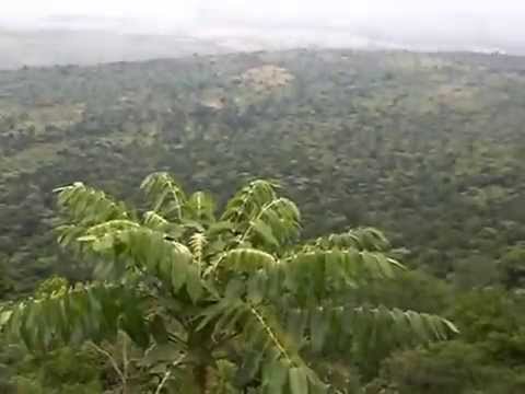 The Great Rift Val..