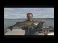 videos de Canadian Fishing Flint Wilderness Resort - Fishing Part 1
