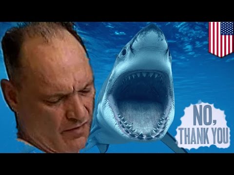 Shark swimmer: Boston man jumps into New England Aquarium shark tank
