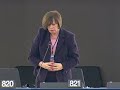 Margarita Starkevi?i?t? on EU/Africa Summit