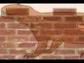 Final_CreationMyth_Video.mov