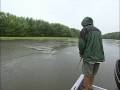 Monster Muskies in Weeds