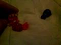 videos de gogocity ep.3