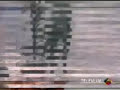 Impacto Tv - Bull Terrier En Un Encierro