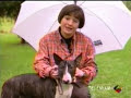 Impacto Tv - Bull Terrier En Un Encierro