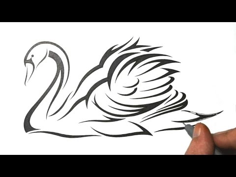 how to draw swan