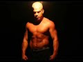 Tito Ortiz vs Forrest Griffin 2 Best Highlights Video