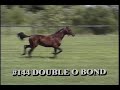 Double O Bond