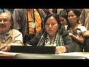 Indigenous Peoples_UN_carbon dioxide trading_World Bank